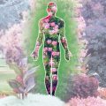 Du cœur à la tête : santé et évolution spirituelle