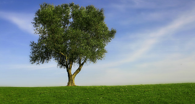 Une nouvelle écologie pour une nouvelle humanité