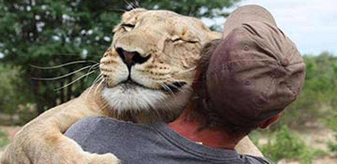 Que serait l'homme sans l'animal ?