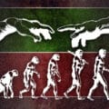 Création et évolution